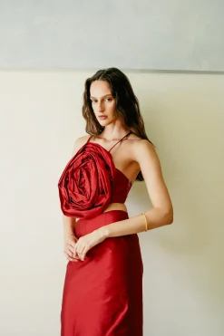 Epine De Rose Bustier