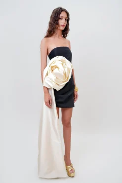 Epine De Rose Dress