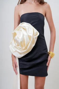 Epine De Rose Dress