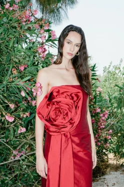 Epine De Rose Long Dress
