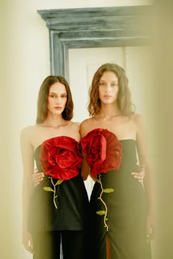 Rose Des Vents Bustier