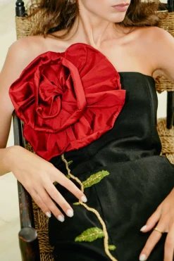 Rose Des Vents Dress