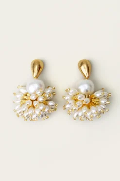 Vallee Etoilee Earrings