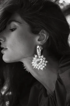 Vallee Etoilee Earrings